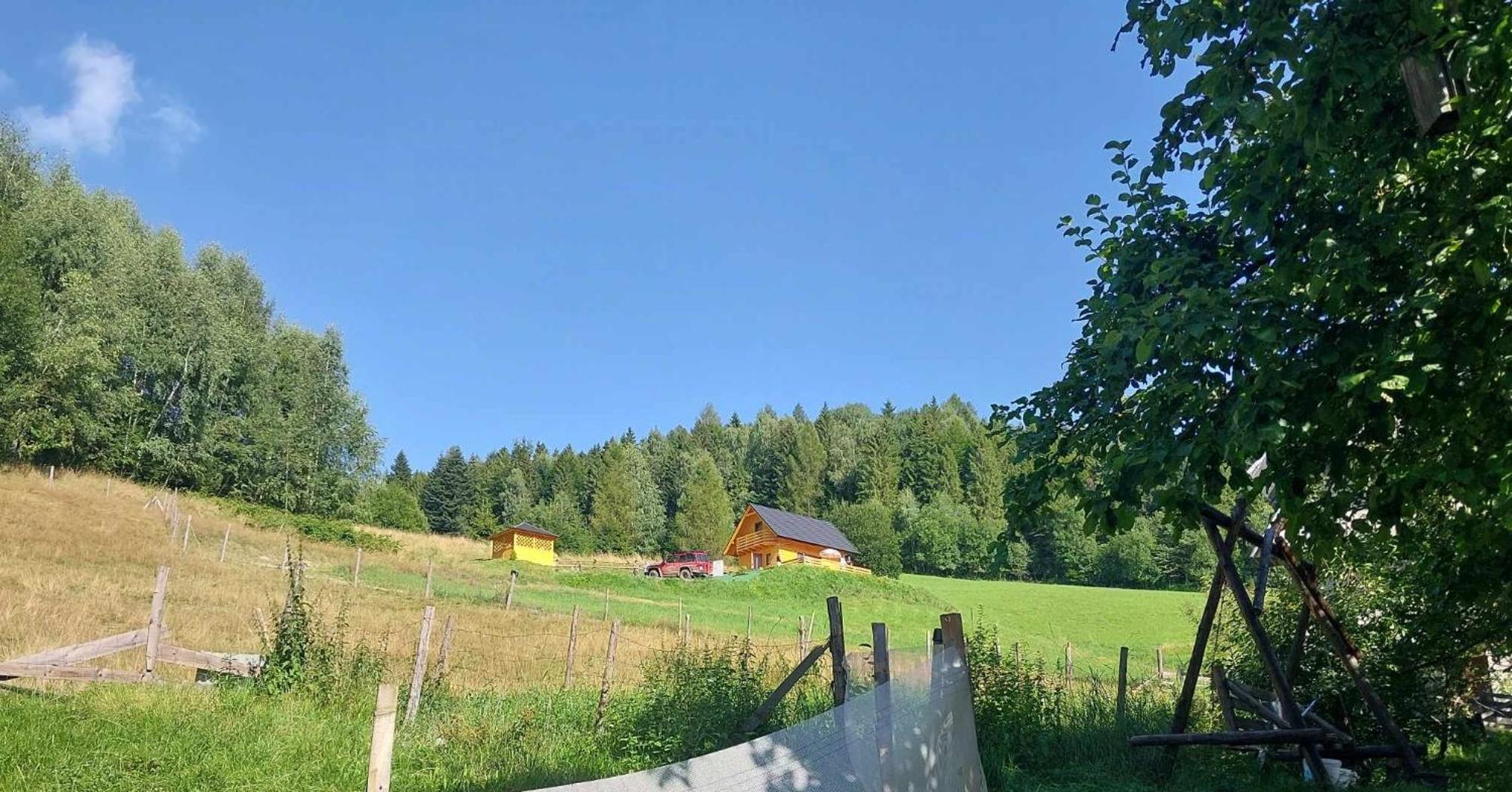 Gladyszowka - W Gorcach *