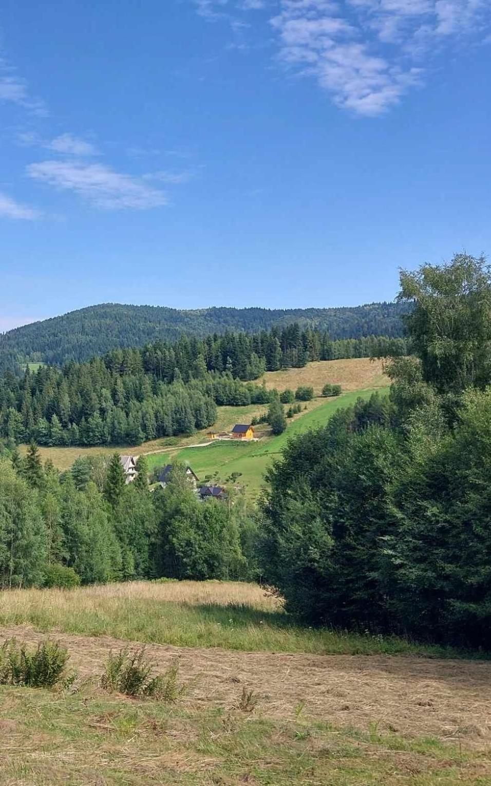 Gladyszowka - W Gorcach