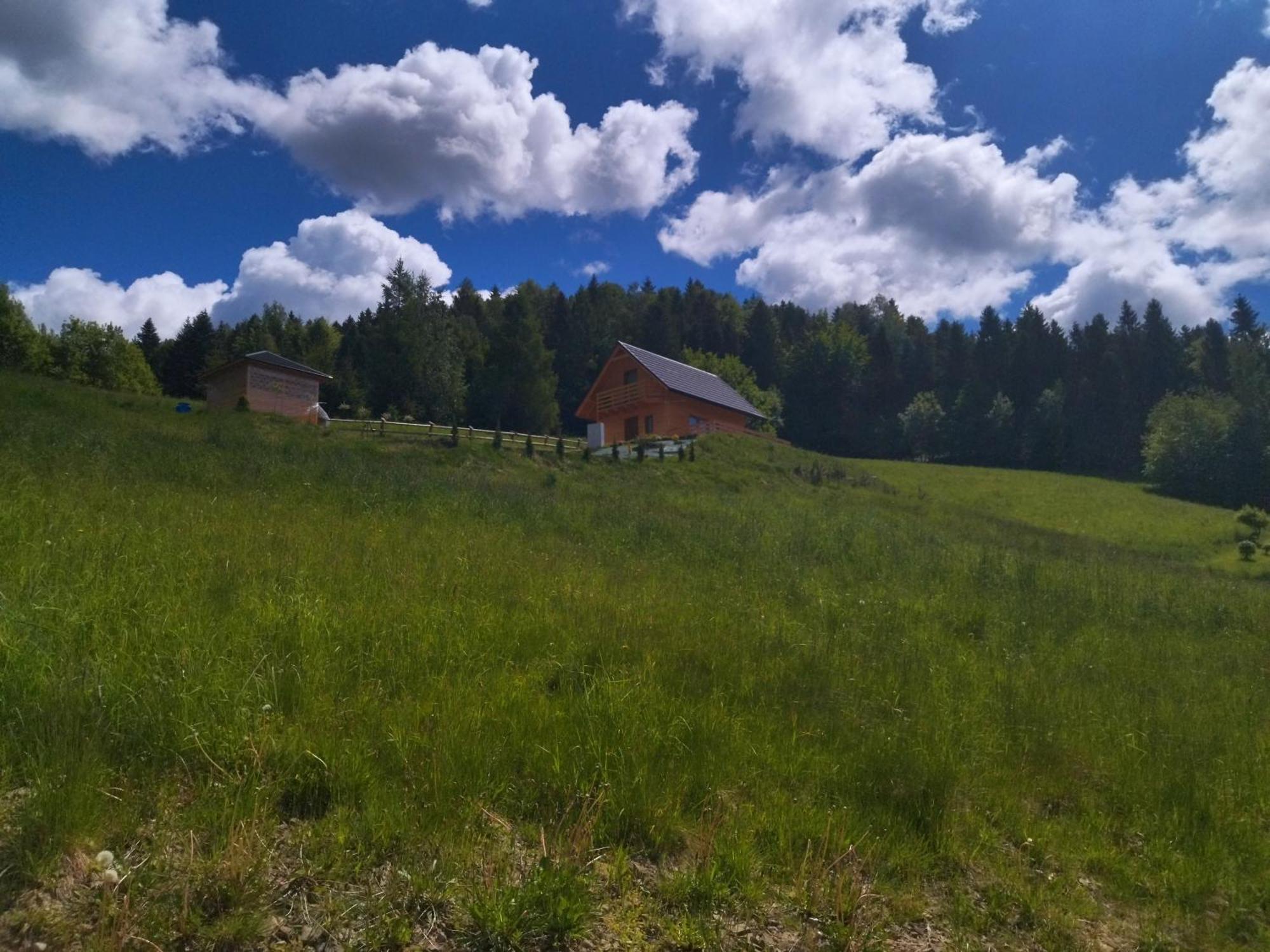 Holiday home Gladyszowka - W Gorcach