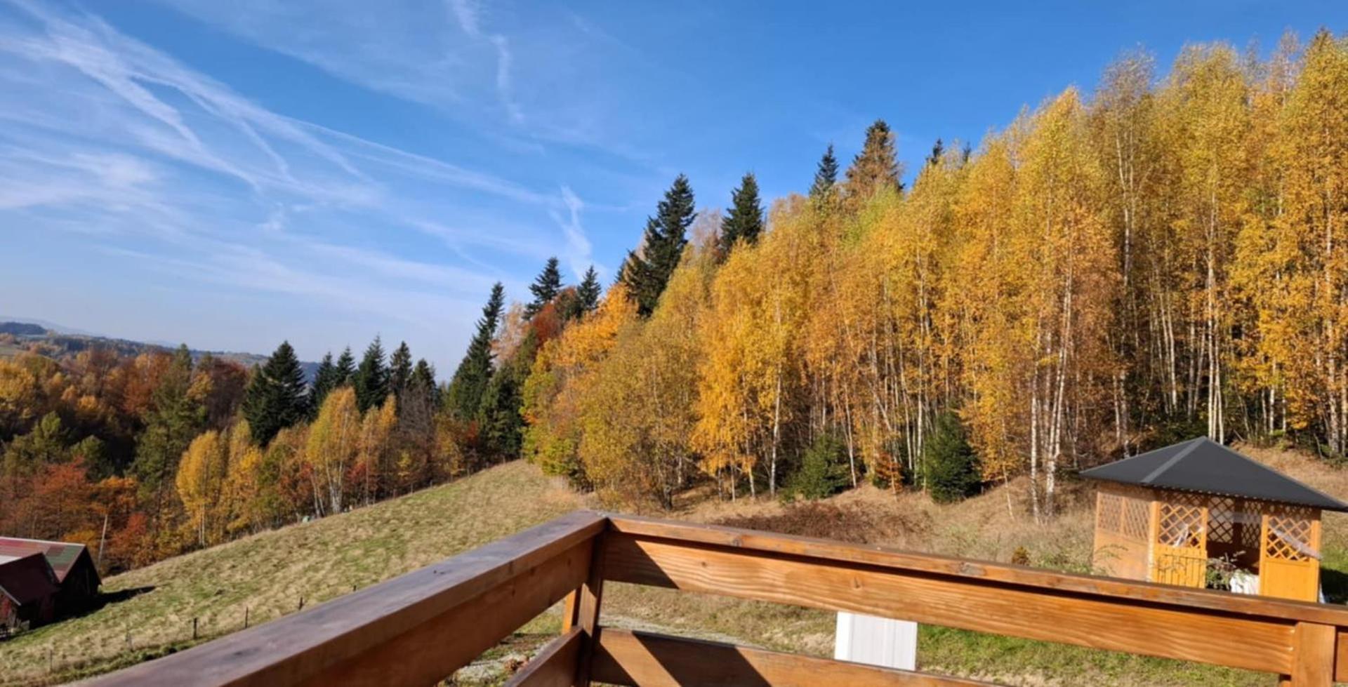 Gladyszowka - W Gorcach * Ponice