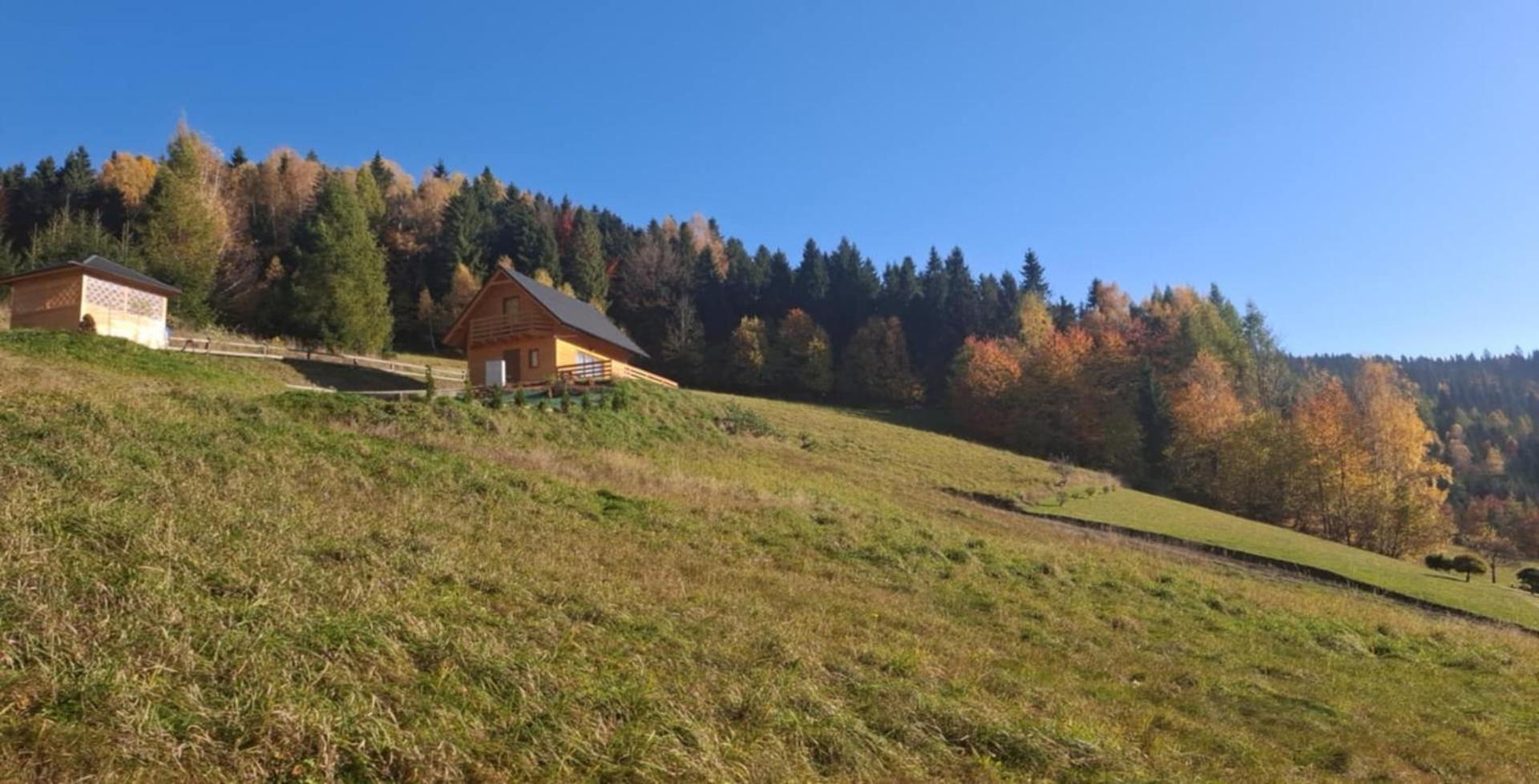 Gladyszowka - W Gorcach Holiday home *